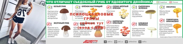 мдпв Козловка